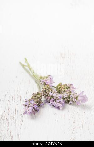 closeup bunch of lavender flower on a wooden table with copy space Stock Photo
