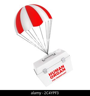 Fridge Box for transporting Human Donor Organs flying on Red and White Parachute on a white background. 3d Rendering. Stock Photo
