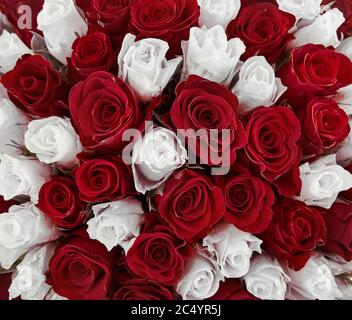 white and red rose. mixed rose bouquet for a wedding. floral background Stock Photo