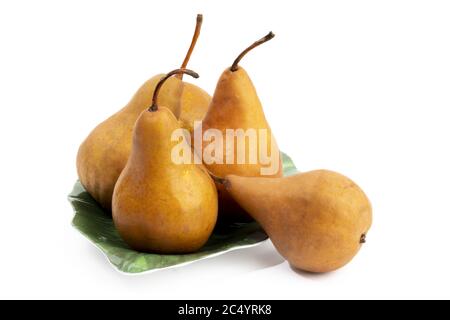 a group of Bosc pears on a green leaf shaped plate isolated on white Stock Photo