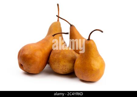 a group of Bosc pears isolated on white Stock Photo