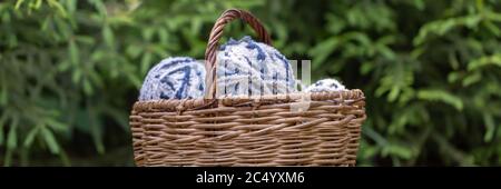 White-blue fluffy woolen balls in a basket on a background of green branches of spruce. Horizontal banner yarn for knitting. Stock Photo