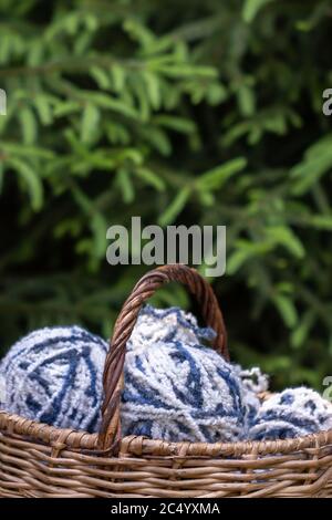 White-blue fluffy wool balls in a basket on a background of green branches of spruce. Vertical poster with copy space. Yarn for knitting. Stock Photo
