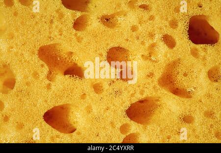 Sponge, porous material. Stock Photo