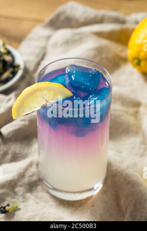 Homemade Butterfly Pea Tea Lemonade with Blue Ice Stock Photo