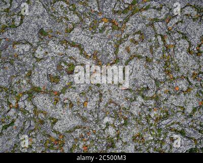 lava field in Iceland, overgrown with moss and dwarf trees. Iceland top view from drone of the Aerial view. Stock Photo