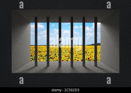 Sky and Sunflower Field Seen Through Jail Bars in Prison Window extreme closeup. 3d Rendering. Stock Photo
