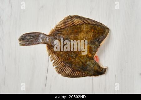 Frozen flounder without head on black background Stock Photo - Alamy