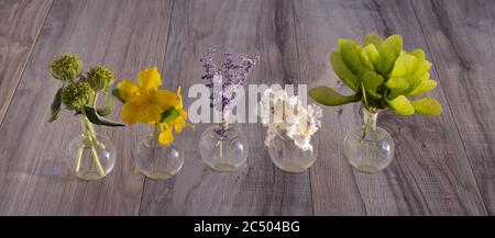 Small glass vases with fresh flowers and plants Stock Photo