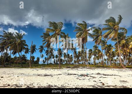 Tropical island. View of the beach. Stock Photo