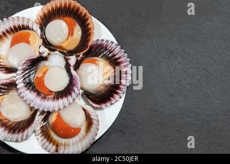 A white plate of big raw fresh scallops with orange caviar and shells on a dark background. Copy space. Stock Photo