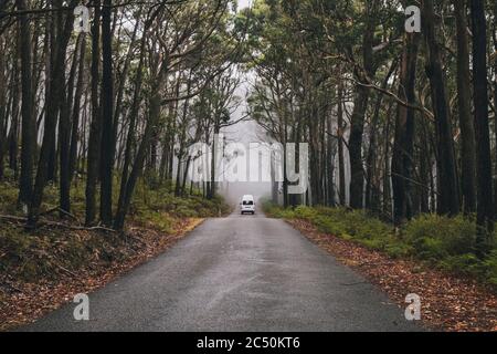 Campervan driving through the road on a foggy day at the lush forest of the Grampians National Park, Victoria, Australia Stock Photo