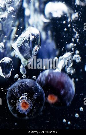 Blueberries in the water. Juicy Berries fall into the water, splashing and bubbles around the blueberries. washing berries in water, on a black backgr Stock Photo