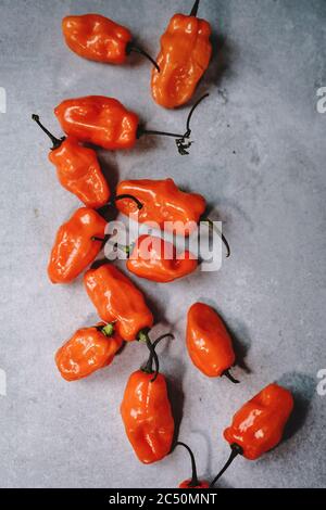 Still life Habanero Pepper with copy space Stock Photo