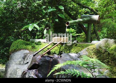 Traditional Japanese fountain made of bamboo in fresh garden Stock Photo