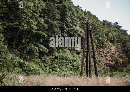 Old pole and forest Stock Photo