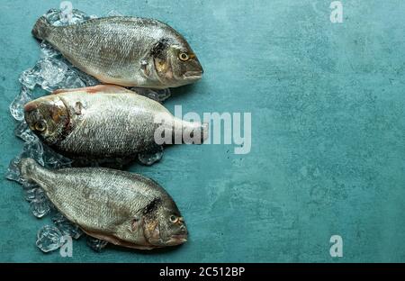 Raw fresh organic dorado or sea bream on ice cubes  Stock Photo