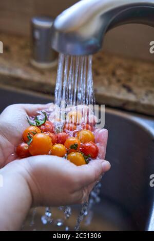 Hands holding homegrown cherry tomatoes and washing with running water under kitchen faucet. Stock Photo