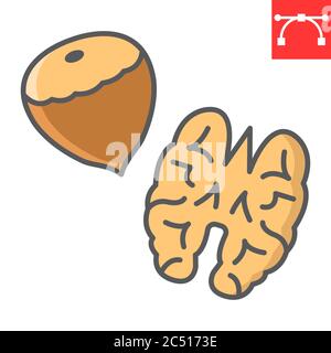 Nuts color line icon, hazelnut and keto diet, walnut sign vector graphics, editable stroke colorful linear icon, eps 10. Stock Vector