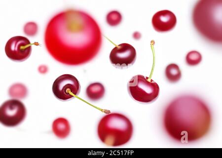 Flying cherry. Several berries of falling cherry with shallow depth of field isolated on a white background. Food levitation with selective focus. Abs Stock Photo