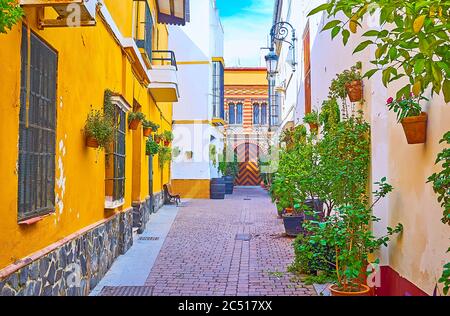 The narrow backstreet, decorated with green plants in pots and old casks, colorful house walls and zigzag pattern on the arched door on background, Sa Stock Photo