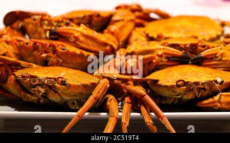 Plate of Necora puber (Velvet crab) ready to eat cold Stock Photo