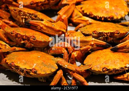 Plate of Necora puber (Velvet crab) ready to eat cold Stock Photo