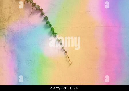 holographic lighting reflected on concrete wall. Stock Photo