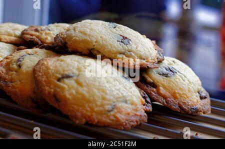 Close up view of a small pile of homemade chocolate chip cookies by a bakery window Stock Photo