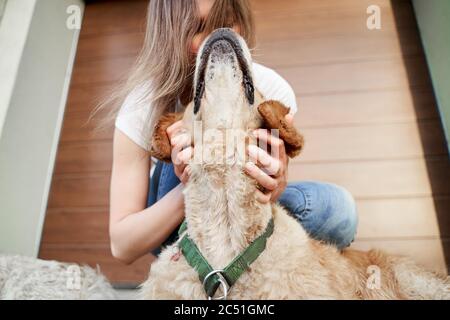 Girl stroking happy dog street in afternoon on background of brown wall. Stock Photo