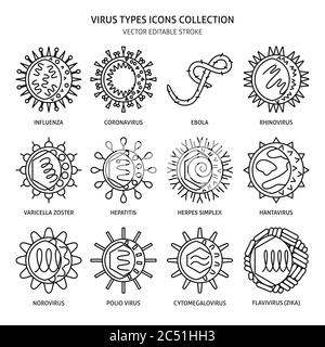 Virus types icon set. Human disease pathogen symbols collection in line style. Vector illustration. Stock Vector