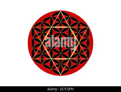 David Star with Flower of Life, Golden Sacred Geometry, Metatrons cube. Gold symbol of alchemy sign, religion and spirituality. Vector isolated Stock Vector