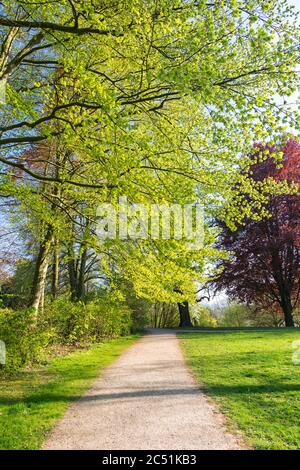 Footpath in a green park in spring or summer Stock Photo