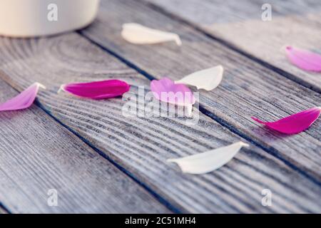 fallen pink and white cosmos flower petals on old gray wooden table Stock Photo