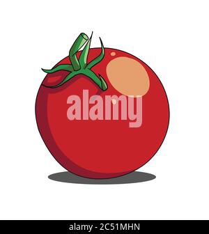 Red single tomato isolated on white background Stock Vector
