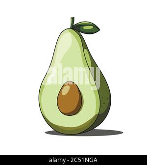 Single green avocado isolated on white background Stock Vector