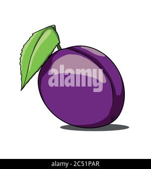 Isolated plum on white background Stock Vector