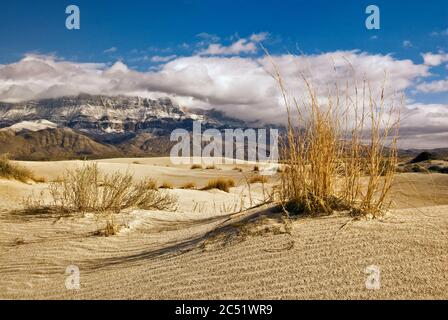 Salt Basin Dunes in front of western escarpment of snowcapped Guadalupe Mountains, sunset, Chihuahuan Desert, Guadalupe Mountains National Park, Texas Stock Photo