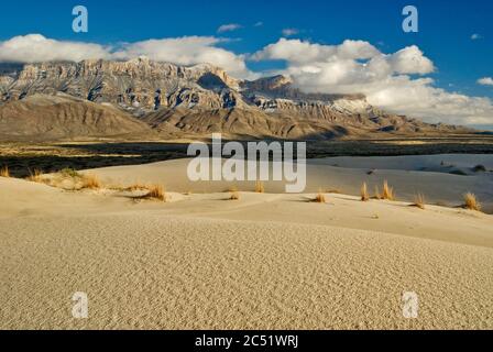 Salt Basin Dunes in front of western escarpment of Guadalupe Mountains ...