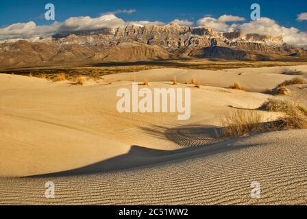 Salt Basin Dunes in front of western escarpment of snowcapped Guadalupe Mountains at sunset, Chihuahuan Desert, Guadalupe Mountains National Park, Tex Stock Photo