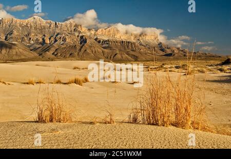 Salt Basin Dunes in front of western escarpment of snowcapped Guadalupe Mountains, sunset, Chihuahuan Desert, Guadalupe Mountains National Park, Texas Stock Photo