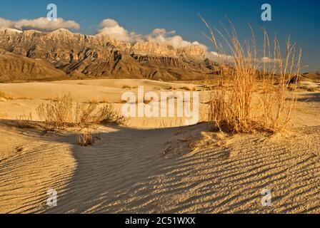 Salt Basin Dunes in front of western escarpment of Guadalupe Mountains at sunset, Chihuahuan Desert, Guadalupe Mountains National Park, Texas, USA Stock Photo