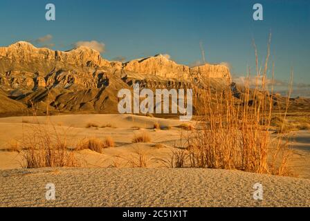 Salt Basin Dunes in front of western escarpment of Guadalupe Mountains at sunset, Chihuahuan Desert, Guadalupe Mountains National Park, Texas, USA Stock Photo