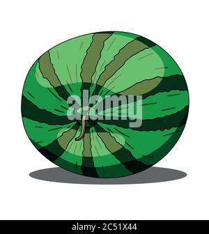 Isolated watermelon on white background Stock Vector