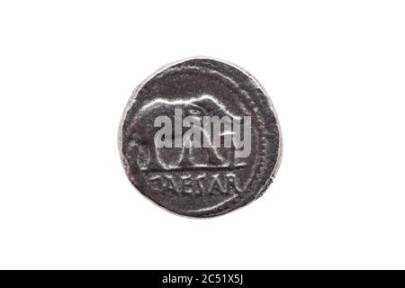 Silver Roman denarius coin replica of Roman emperor Julius Caesar celebrating his conquest of Gaul obverse showing an elephant and serpent isolated on Stock Photo