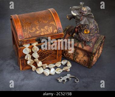 Vintage Jewelry Boxes and diamond lizard Stock Photo