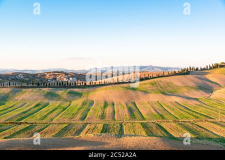 Landschaft der Crete Senesi, einem Getreideanbaugebiet mit karstigen Abschnitten. Hier im herbstlichen Abendlicht Stock Photo