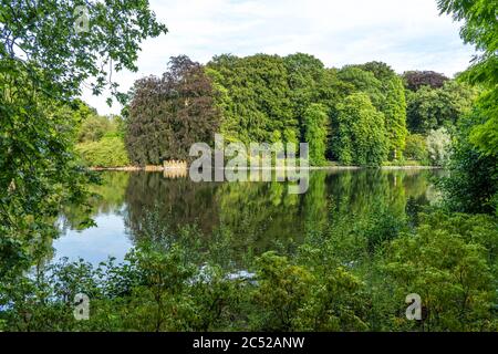 Botanischer Garten Rombergpark in Dortmund, Ruhrgebiet, Nordrhein