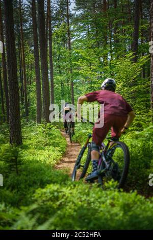 Man and woman mountain biking through the forest, Klagenfurt, Carinthia, Austria Stock Photo