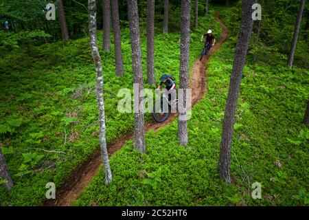 Man and woman mountain biking through the forest, Klagenfurt, Carinthia, Austria Stock Photo